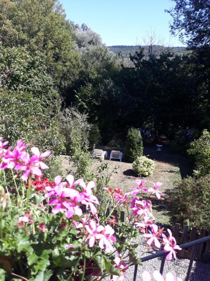 L'escale Arquaise, la maison au jardin fleuri à 5 min de dieppe Arques-la-Bataille Extérieur photo