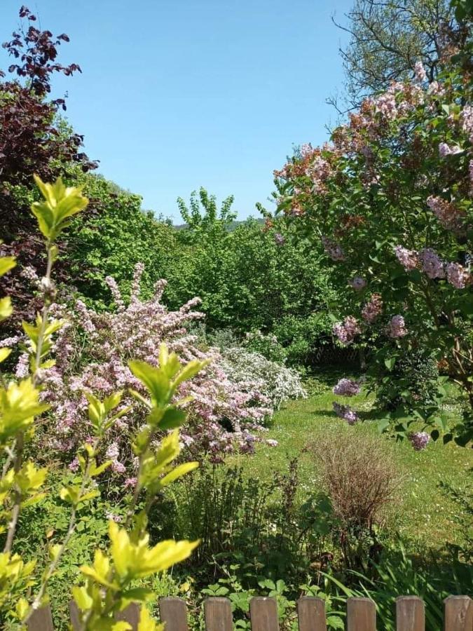 L'escale Arquaise, la maison au jardin fleuri à 5 min de dieppe Arques-la-Bataille Extérieur photo